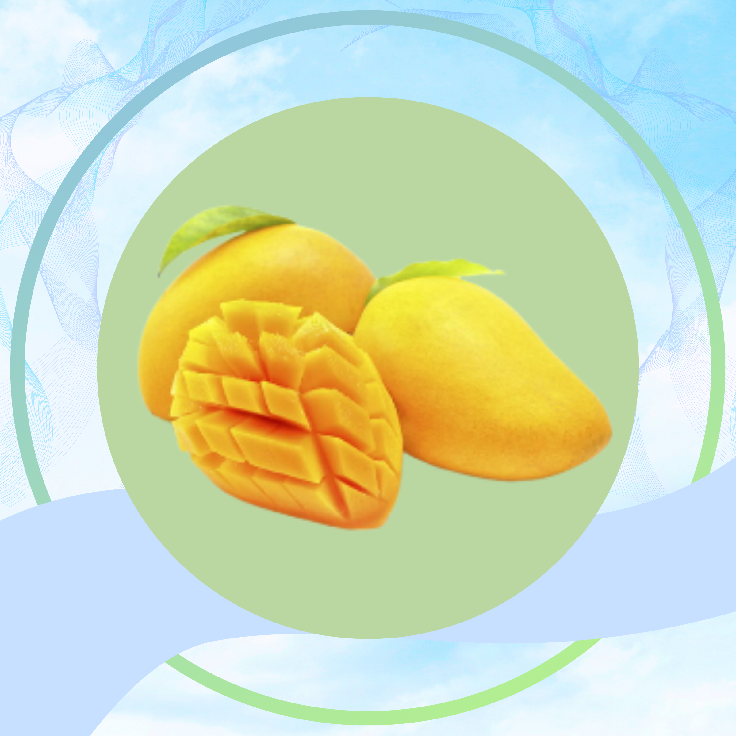BẢO QUẢN XOÀI TƯƠI
