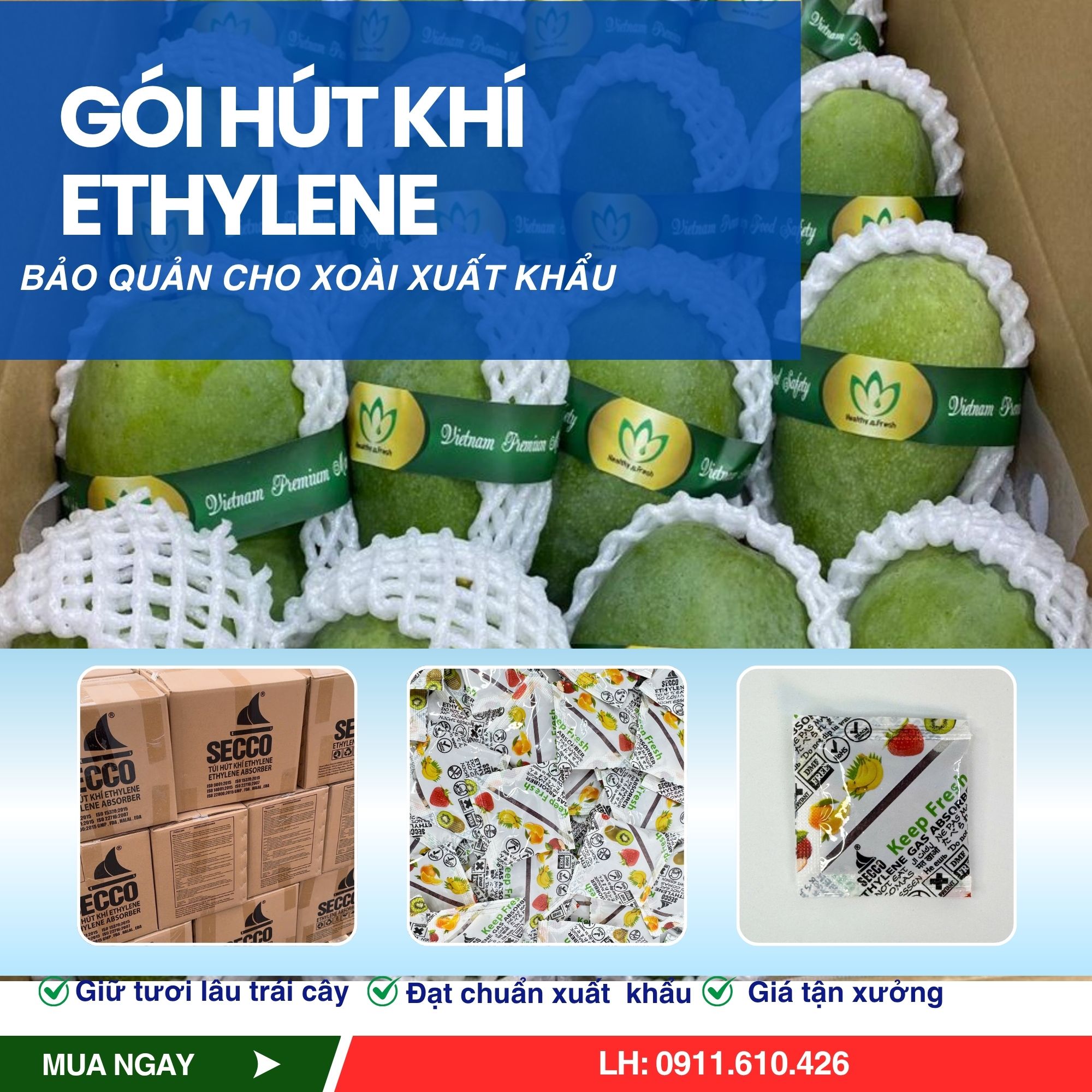 BANNER SECCO VUÔNG (9)