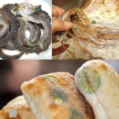 bảo quản chống mốc thực phẩm hiệu wuar với gói hút oxy secco