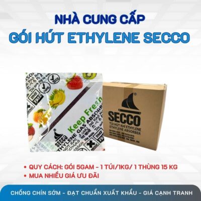 giải pháp bảo quản trái cây xuất không không bị hư hỏng