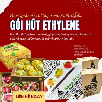 bảo quản trái cây khi vận chuyển đường xa gói hút ethylen Secco