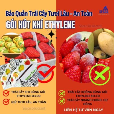 gói bảo quản trái cây chống chín sớm gói ethylen secco