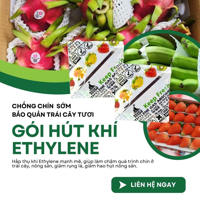 gói bảo quản trái cây chống chín sớm ethylene Secco