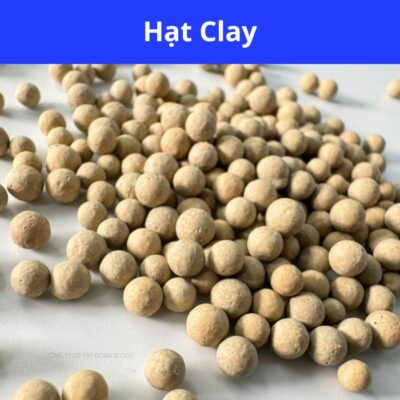 hút hút ẩm Clay Secco