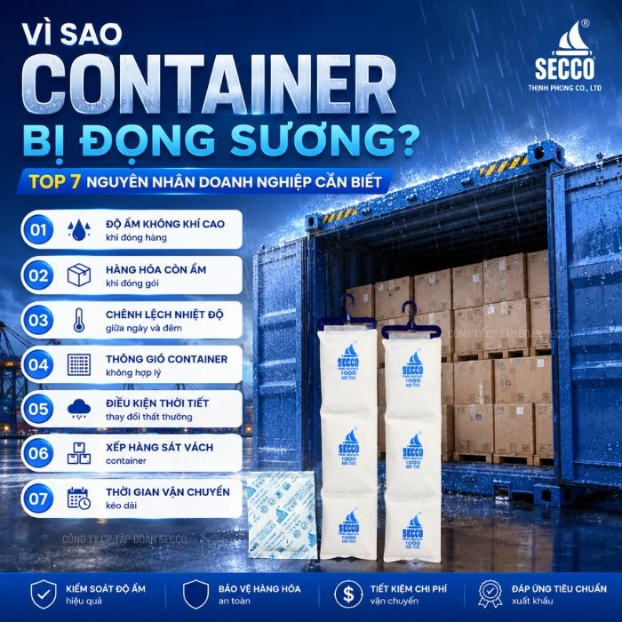 Vì Sao Container Bị Đọng Sương và Giải pháp phòng tránh?