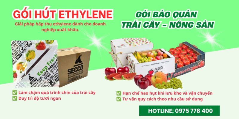 Nhà cung cấp gói hút khí ethylene cho trái cây, nông sản