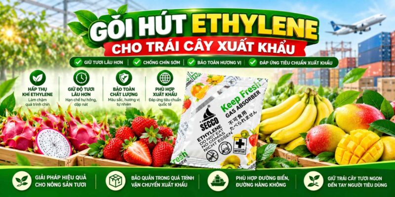 Gói Hút Ethylene Kéo Dài Thời Gian Bảo Quản Trái Cây