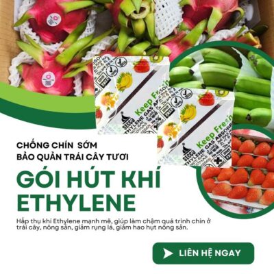 Gói Hút Ethylene chống chín sớm - hỗ trợ bảo quản trái cây