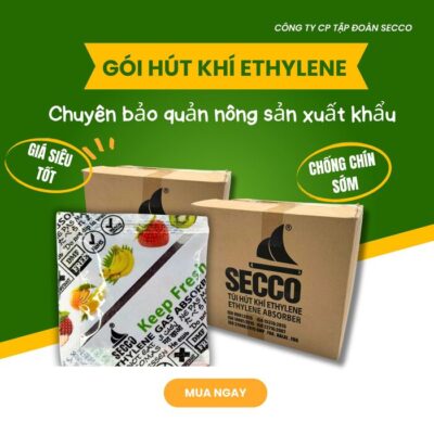 Gói Hút Ethylene hỗ trợ kéo dài thời gian bảo quản trái cây