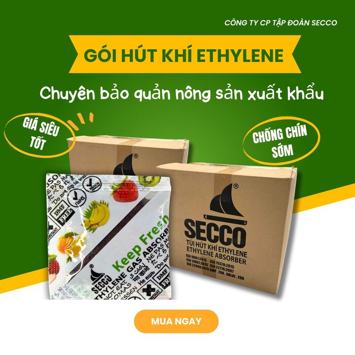Gói Hút Ethylene hỗ trợ kéo dài thời gian bảo quản trái cây