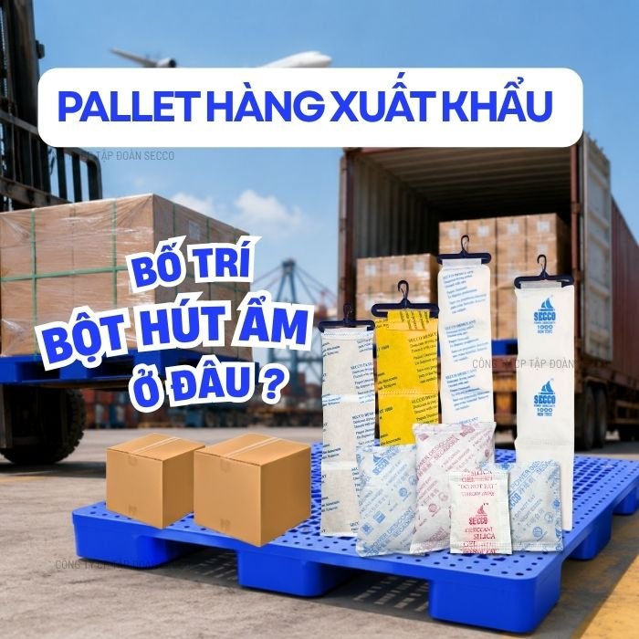 Pallet Hàng Xuất Khẩu Nên Bố Trí Bột Hút Ẩm Ở Đâu?