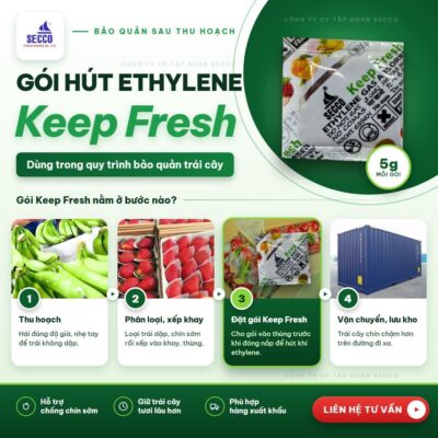 Gói hút ethylene Keep Fresh dùng trong quy trình bảo quản trái cây sau thu hoạch.