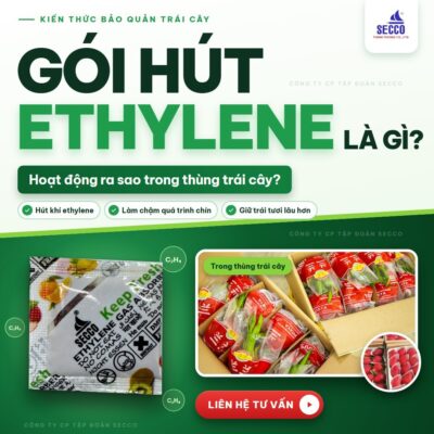 Gói Hút Ethylene Là Gì ?