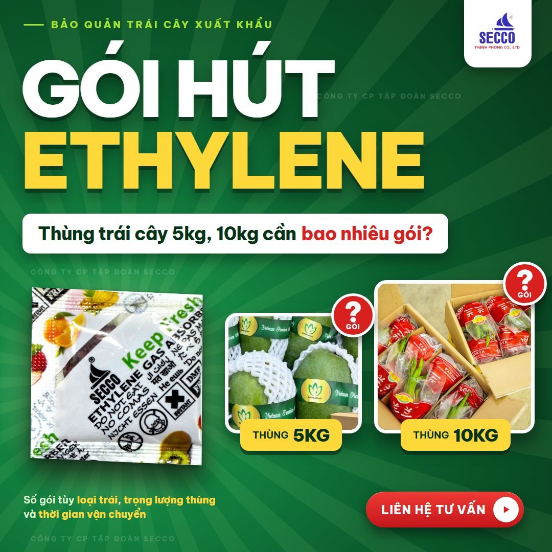 Gói Hút Ethylene bảo quản thùng trái cây 5kg, 10kg